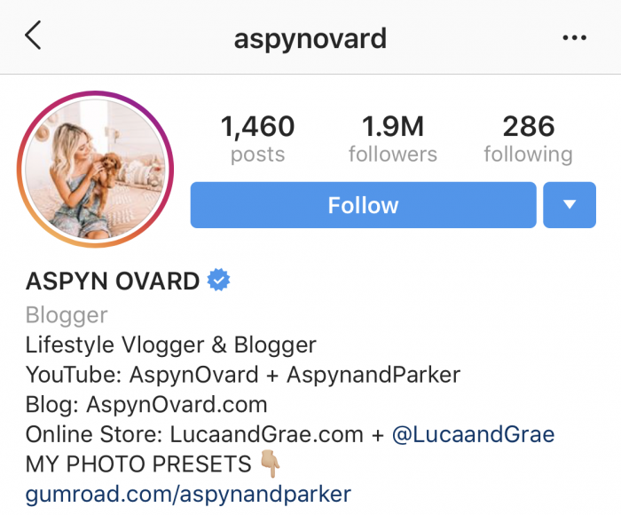 How to write your Instagram Bio like a pro | Instagram Bio Example Image