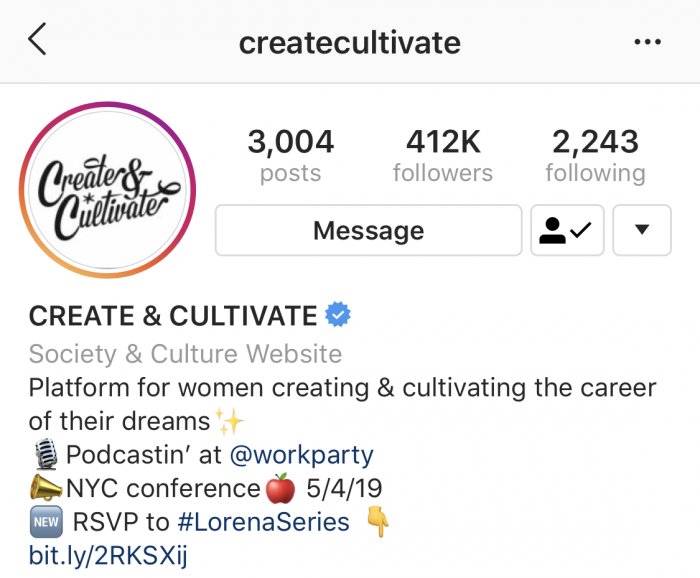 How to write your Instagram Bio like a pro | Instagram Bio Example Image