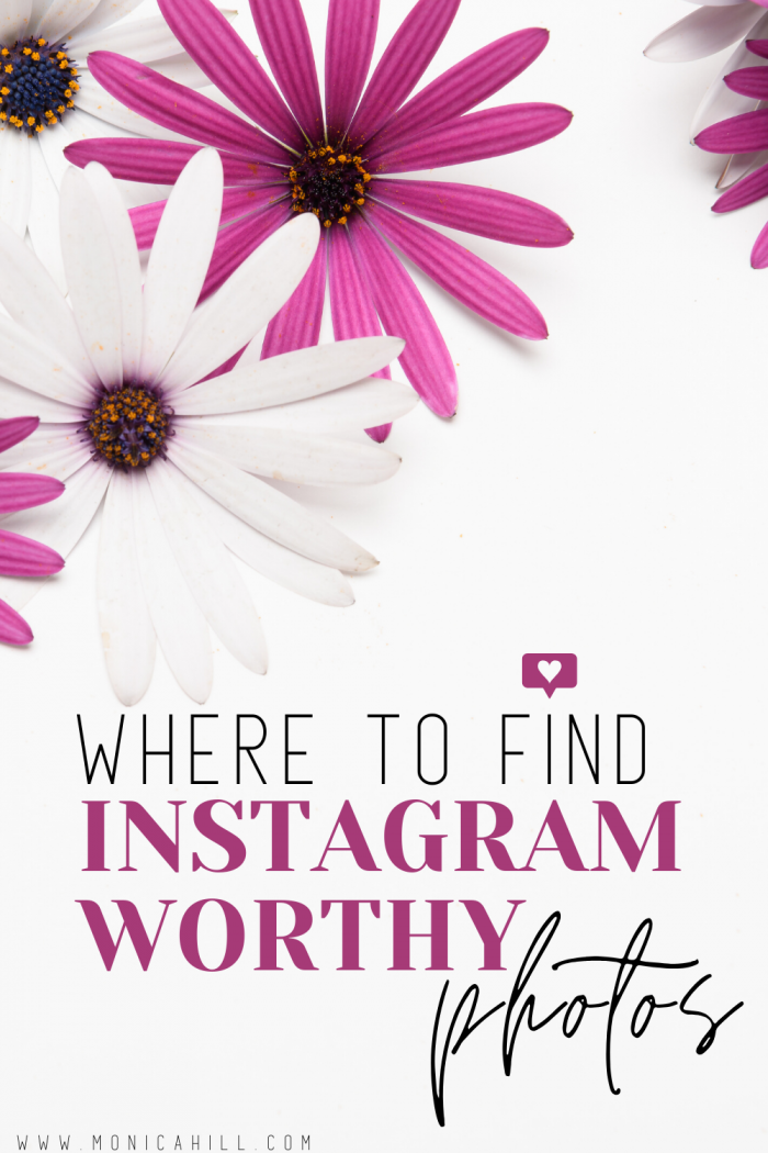 Where to find Insta worthy photos | These free stock photo websites for business are the photos I use to grow my Instagram. If you want to create that beautiful Instagram feed layout, these stock photo websites are the best for your business! You can also use these free stock photos to design Instagram stories to from your Instagram followers and engagement. For more Instagram tips, free business tools, Instagram engagement, Hashtag ideas, and Instagram bio ideas read glambymoni.com #instagram